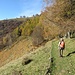 Il lariceto nei pressi del rifugio.