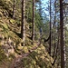 hier eine gesicherte Passage