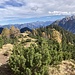 Rückblick zur Gipfelhütte
