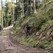 Später - runter geht immer iwie
Foto: schubi