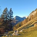Bild von ADI. Letzter Blick zur Reiteralm. 