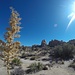 Hidden Valley I