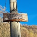 <b>Ciuccino (865 m).</b>