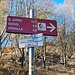 <b>Dopo 1 h e 30 min pervengo alla Bocchetta di Sant’Anna o di Germasino (1206 m). <br />La comoda strada è stata tracciata con una pendenza molto amabile. Di tanto in tanto dei rivoli attraversano la carrareccia, nella maggior parte dei casi in canaline di legno.</b>