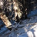 ein Schneegespenst