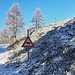 Weideland