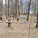 <b>Lake Como Adventure Park (940 m), nel comune di Gravedona ed Uniti.<br /><img src="http://f.hikr.org/files/4014797k.jpg" /><br /><b></b>"Up2tree", fino a 15 m d'altezza!</b>