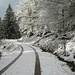 Zunächst gehe ich auf breiten Forstpisten aufwärts. An der Stelle des Fotos beginnt der Nationalpark, erkennbar am Schild rechts. 