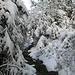 Winterliches Ambiente auf dem Pfad kurz vor dem Gipfel.
