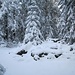 Dies ist der Gipfel des Hohen Ochsenkopfs. Der verschneite Steinhaufen im Vordergrund enthält die Reste des 1971 abgerissenen alten Aussichtsturms. Aussicht gibt es hier heute leider nicht mehr.
