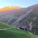 Bike Auffahrt Sennhof
