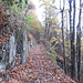 Mulattiera nel bosco per salire a Oggiogno.