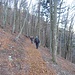 Veramente bello e rilassante il sentiero che nel bosco di faggi e in piano porta all’Alpe Colle.
