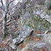 Lasciate le rocce della cima, ci siamo portati sul bel sentiero che conduce all’Alpe Colle.