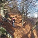 Poco sotto la cima il tracciato volge decisamente a destra ed attraversa un ripido bosco di faggi su un sentierino piuttosto esiguo dove oggi, a causa delle numerose foglie secche di faggio (notoriamente scivolose), bisognava prestare attenzione.