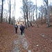 Durante la discesa abbiamo fatto una breve deviazione in questo bosco di faggi per visitare un oratorio sperduto nei boschi, dedicato alla Madonna Addolorata e a Sant’Eurosia. A breve incontreremo un gruppo di cacciatori con alcuni fuoristrada e il loro trofeo (un grosso cinghiale); uno dei cacciatori stava andando a recuperare alcuni segugi dotati di radiocollare segnalati in una valle vicina.