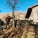 Arrivati alle baite dell’Alpe Ronno, abbiamo trovato il sole e da qui il sentiero diventa davvero verticale.