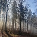 schlussendlich hatte die Sonne die Oberhand...