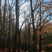 Bei Southborough