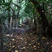 Footpath