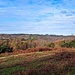 The Weald
