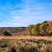 The Weald