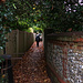 Reigate Footpath