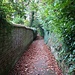 Reigate Footpath