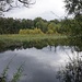 am Kiesweiher