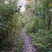Gegenüber dem Industriedenkmal führt ein Pfad in den Wald