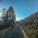 Strada per Laveggiolo