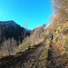 Val Vedrano