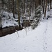 Brücke über den Gschmelltobel bei 506 m beim Tuubeschlag