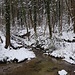Blick in die Mündung des Tüfelstobels - das ist der Unterlauf des Raperswiler Tobels