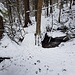 der Steg geradeaus quert den aus Norden kommenden Tobel des Spitzholzes