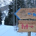 der Riese Haunold wartet auf Opfer