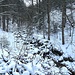 Trockenbach eher naß