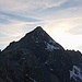 Blick vom Bachleitenkogl zum Schwarzwanter, der seinem Namen gerecht wird