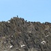 Kletterer am Wiwannihorn