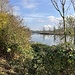 Die Aare.