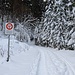 Ich folgte zuerst die Fahrstrasse zu Fuss bis zur Mündung Schlierenbach. Von hier aus mit den Schneeschuhen auf guter Spur von gestern in Richtung Nüssen.