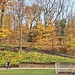 Herbstfarben im Schlossgarten