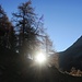Gegenlichtaufnahme bei der Alp Fless Dadoura