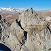 Kleines schinhorn