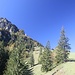 hinauf zur Bründling Alm