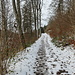 einmal kein Asphalt