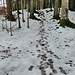 heute recht rutschig, der Schnee hält nicht mehr