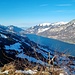 Schattiges Walenseeufer von Mols bis Mühlehorn