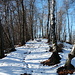 ultimo tratto prima di arrivare al monte di prerro