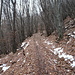 sulla via del ritorno